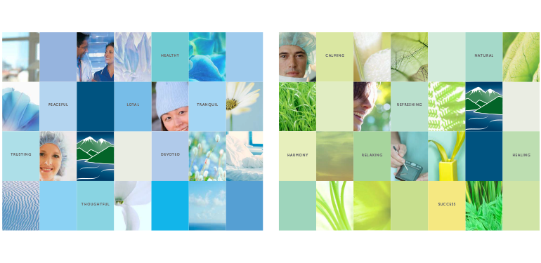 Harrison Medical Center: Brand Color Boards